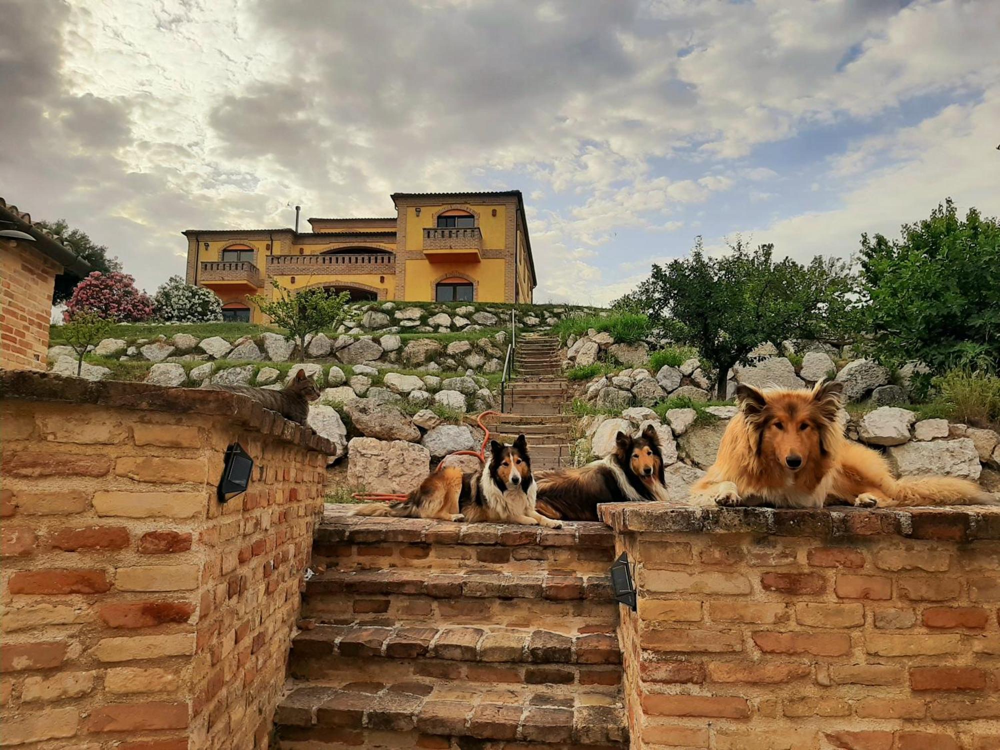 Il Casale Dell'acquabona Montefano