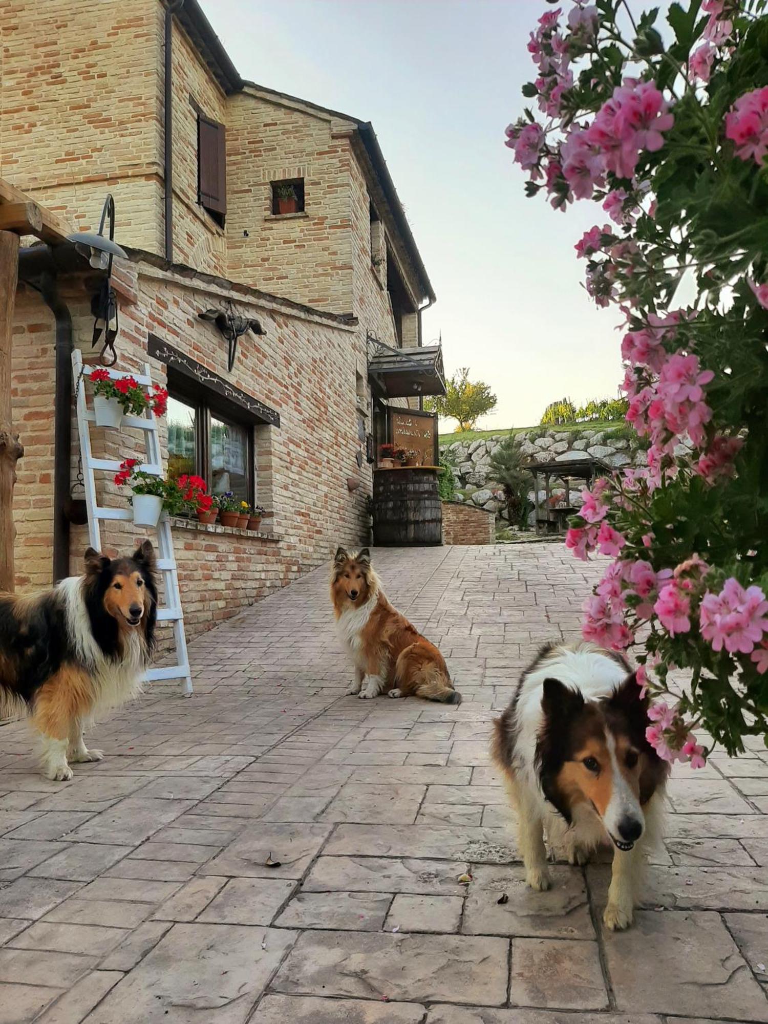 Il Casale Dell'acquabona Alojamento de Turismo Rural *
